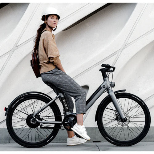 Bird - V-Frame eBike, 500Watt Motor Electric Bike, 50mi Max Range, Embedded Dash Display, Removable Battery, and App Compatible