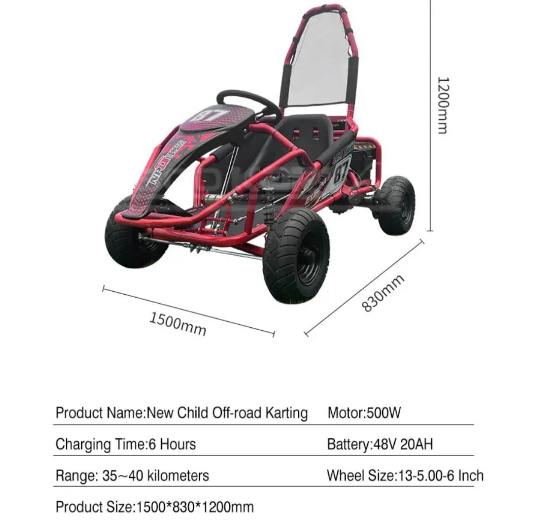 Electric Rideon Gokart Buggy Car Teen & Adults