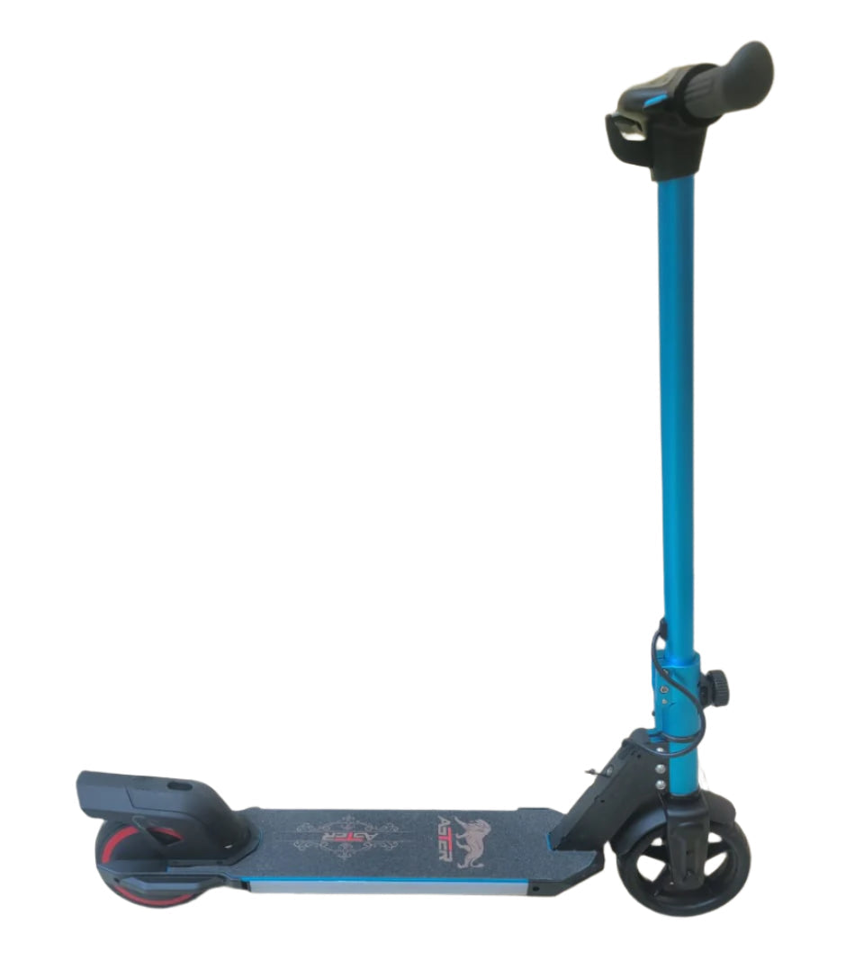X1 Kids Foldable Mini Electric Scooter 24V Age 5+