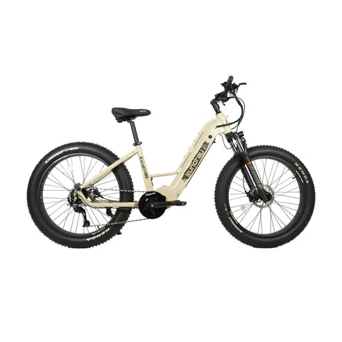 Eunorau FAT-HD 2.0 Fat Tire MTB Electric Bike 48V, 1000W Mid-drive motor, 15Ah - 100% Financing Available!