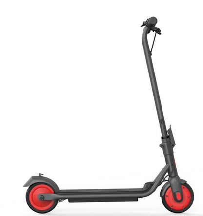 Ninebot Segway Zing C20 Electric Scooter Age 8-14