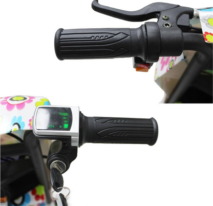 Leaders Kids Drifting E Scooter For kis Age above 3+ 350W 36V Double seat