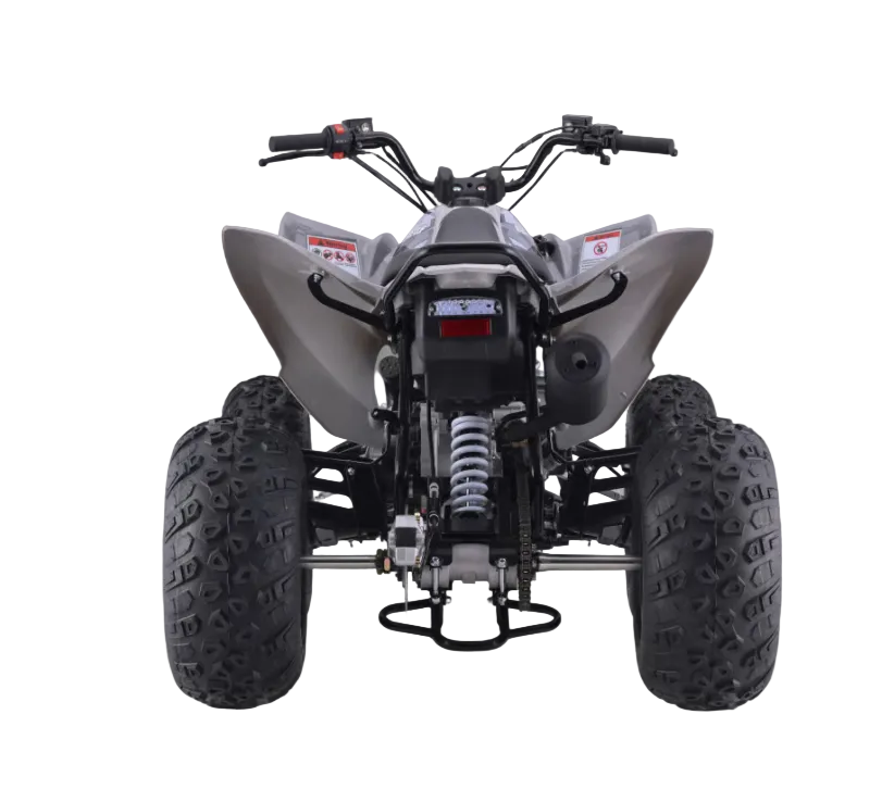 Raizer 250 Race Cup – The Perfect Starter Sport ATV Age 14+ Teens