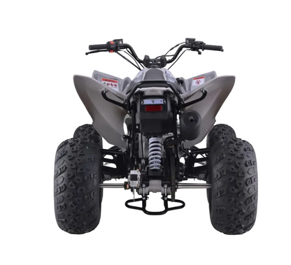 Raizer 250 Race Cup – The Perfect Starter Sport ATV Age 14+ Teens