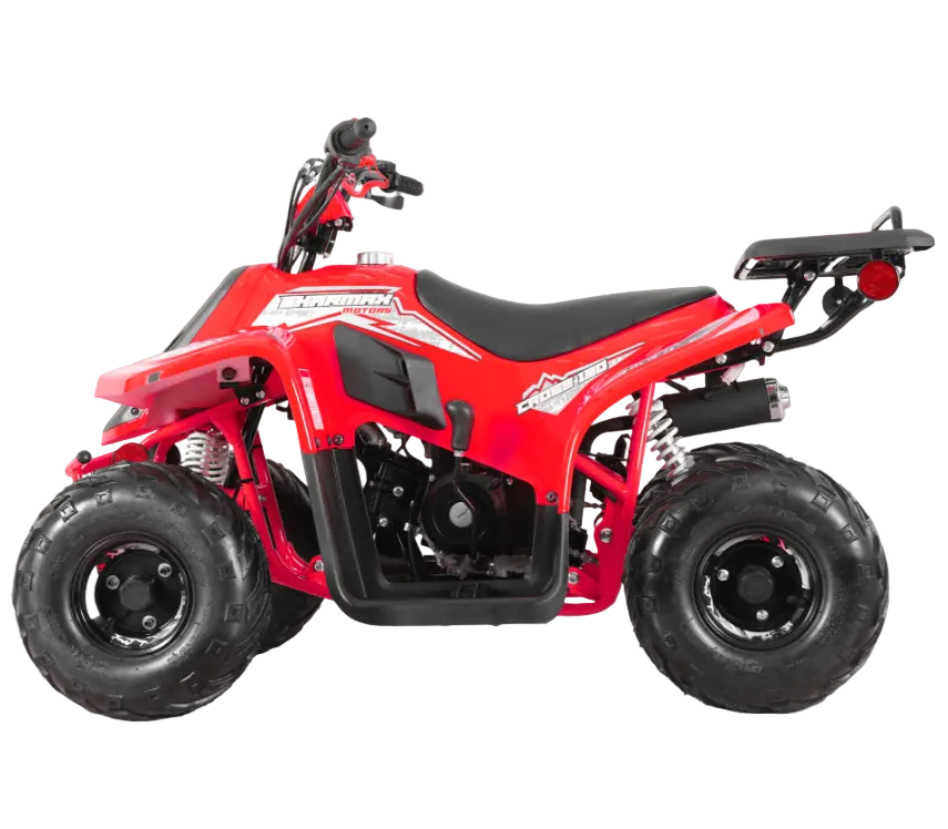 Cross 130 Starter ATV Teens Age 10+