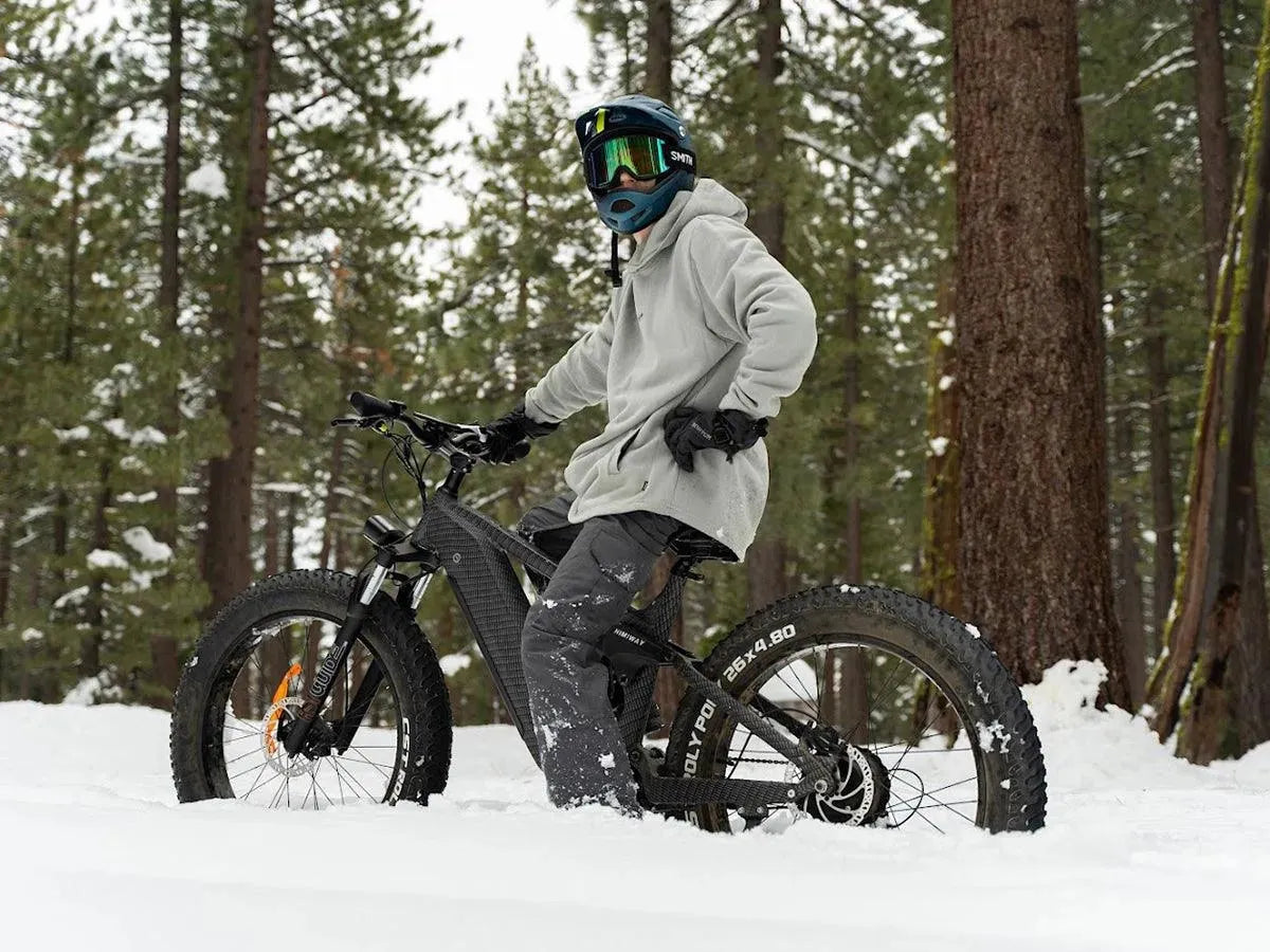 Himiway | D7 Cobra Off-Road Hunting Electric Mountain Bike