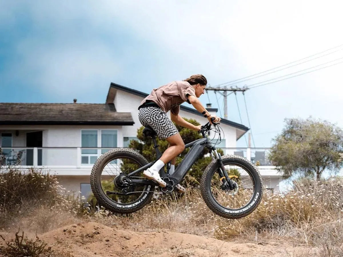 Himiway | D7 Cobra Off-Road Hunting Electric Mountain Bike