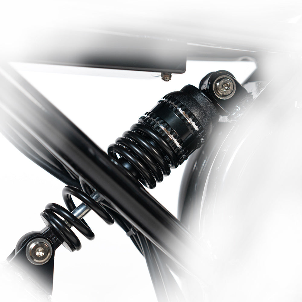 HappyRun | G70 Pro Dual-Motor Electric Cargo Bike Dual Battery
