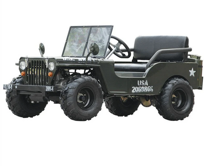 Off road Gas mini jeep buggy 150CC Adventure for Kids & teens Age 8+