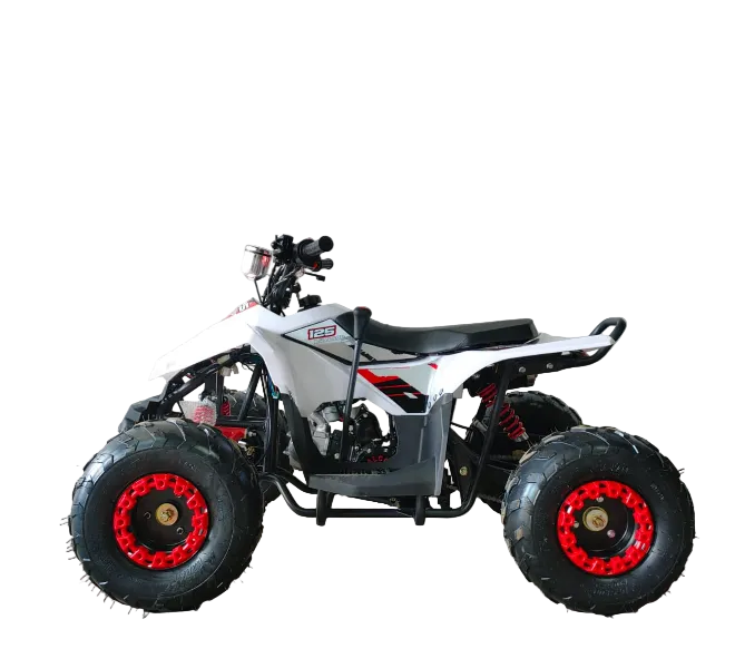 Mini ATV 125CC – The Perfect Off-Road Learning ATV for Kids