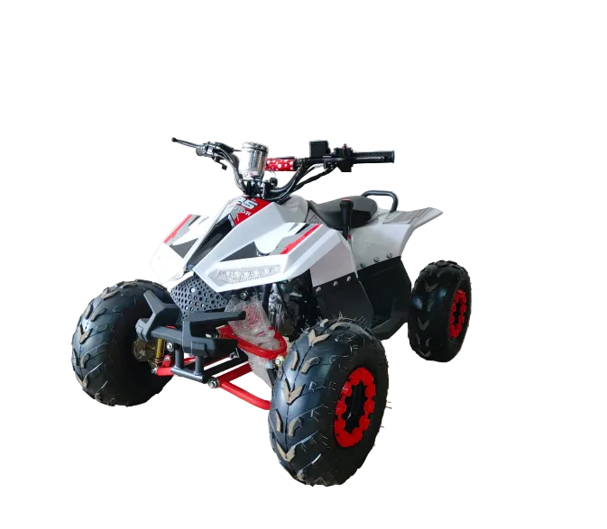 Mini ATV 125CC – The Perfect Off-Road Learning ATV for Kids