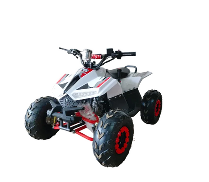 Mini ATV 125CC – The Perfect Off-Road Learning ATV for Kids