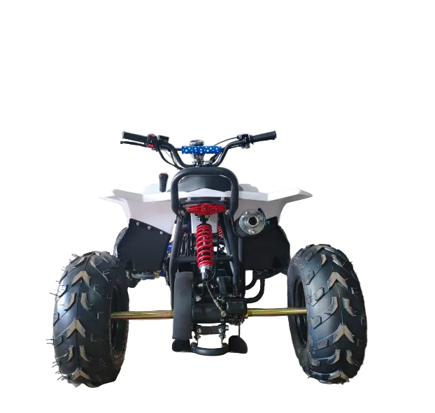 Mini ATV 125CC – The Perfect Off-Road Learning ATV for Kids