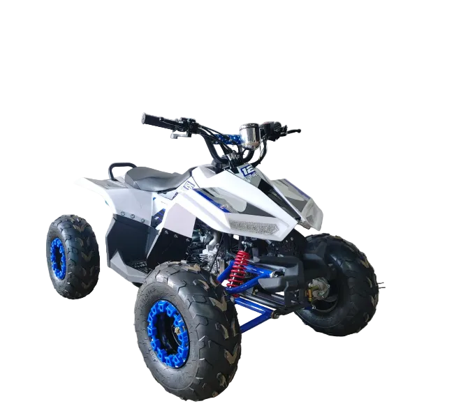 Mini ATV 125CC – The Perfect Off-Road Learning ATV for Kids