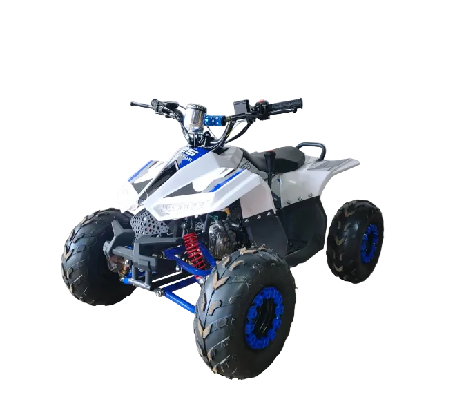 Mini ATV 125CC – The Perfect Off-Road Learning ATV for Kids