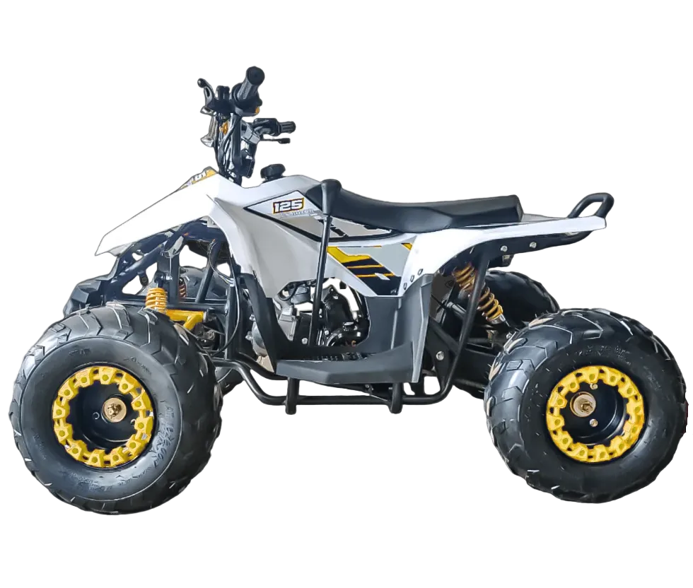 Mini ATV 125CC – The Perfect Off-Road Learning ATV for Kids