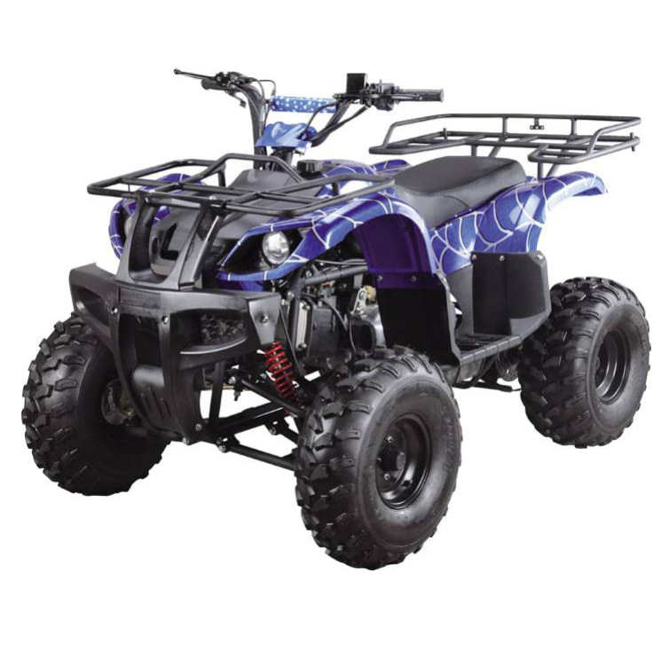 ATV 150cc Quad Bike Electric Start Automatic Gears