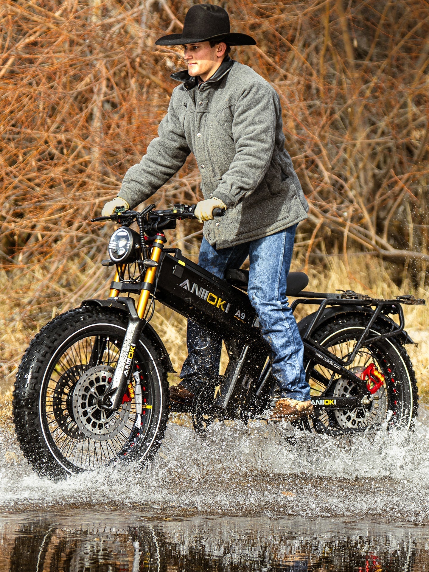 Aniioki A9 Pro Max Dual Motor Fat Tire E-Bike | 60V AWD
