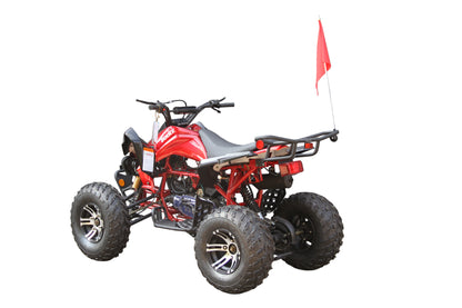 RPS Blizzard 200 Sport ATV - Adult Full Size, 169cc, Automatic with Reverse, 21-Inch Front Tires, Alloy Rims, with Free Battery Charge, up to $49 value