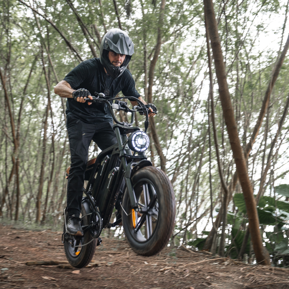 Cycrown CycHunter/CycHunter 2.0 -  48V 13Ah 1000W/1500W peak Class 3 Moped-Style Electric Bike - Full Suspension, Shimano 7-Speed - 100% Financing Available!