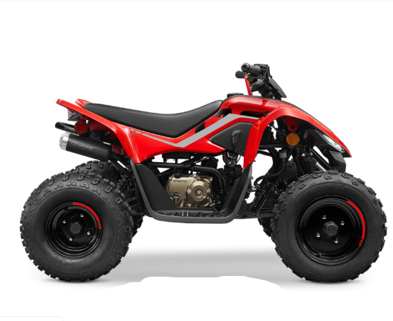 C-Force ATV 110CC Gasoline For Teens Age 8-12