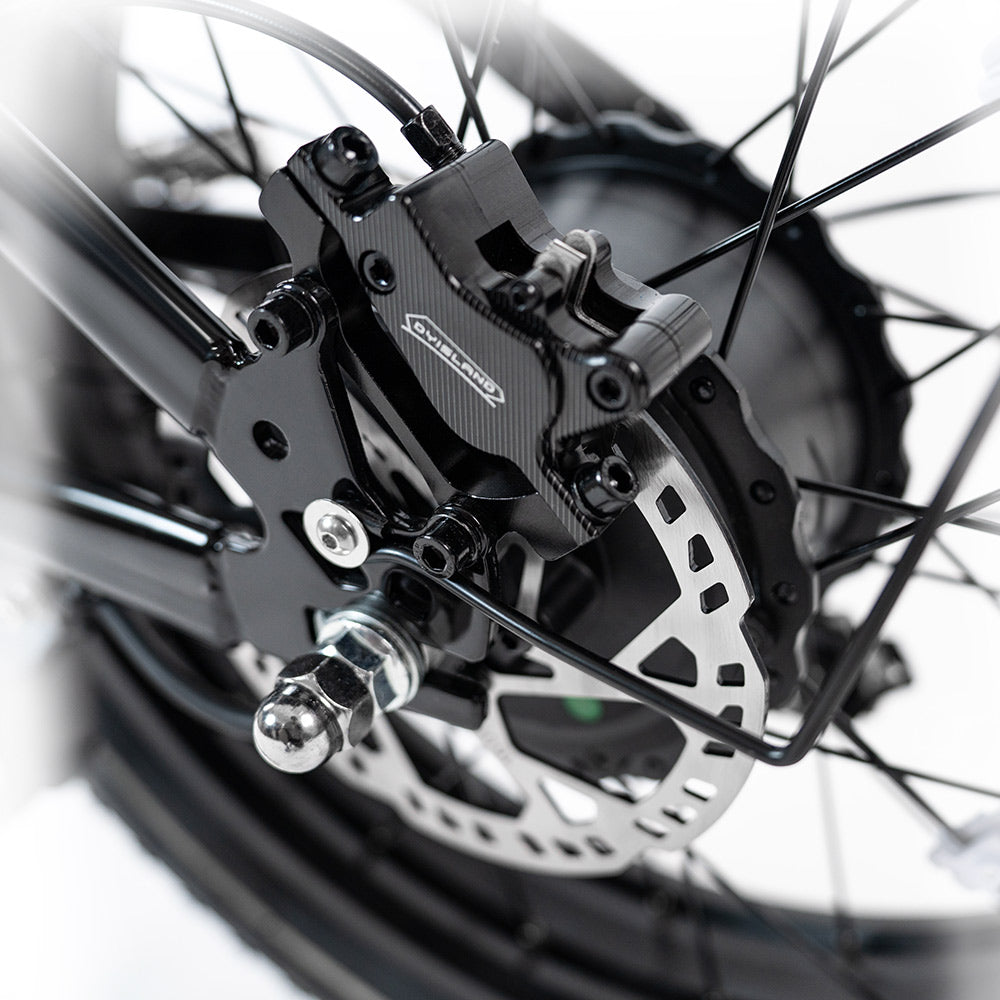 HappyRun | G70 Pro Dual-Motor Electric Cargo Bike Dual Battery