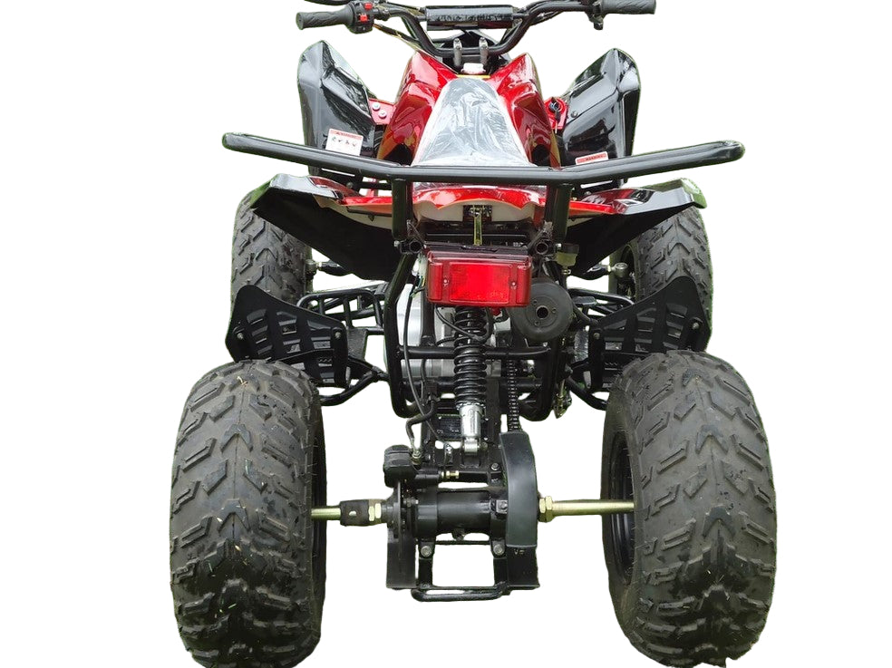 RPS Blizzard 200 Sport ATV - 200cc Full Size for Adults, Automatic with Reverse, 21-Inch Front Tires, with Free Battery Charge, up to $49 value