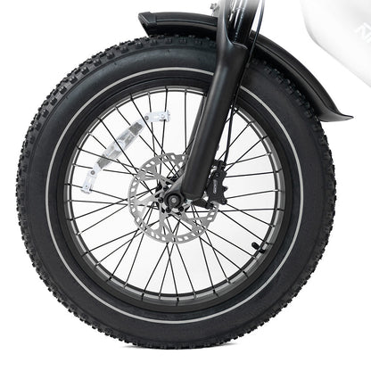 HappyRun | G70 Electric Cargo Bike 2000W Dual Battery, Long Range