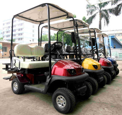 Electric Termite Golf Cart Mini Four Seater Optionally Fully Loaded - BLACK