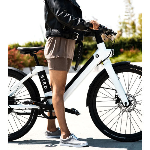 Bird - V-Frame eBike, 500Watt Motor Electric Bike, 50mi Max Range, Embedded Dash Display, Removable Battery, and App Compatible