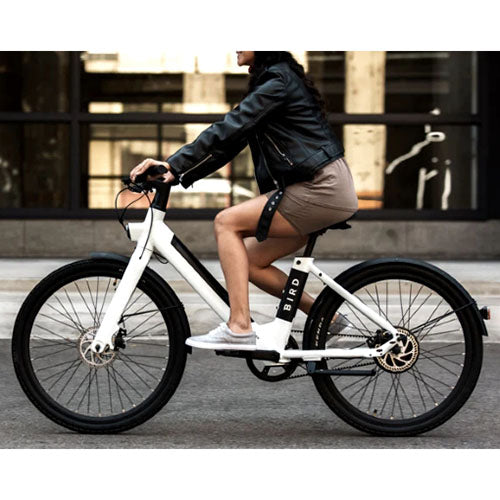 Bird - V-Frame eBike, 500Watt Motor Electric Bike, 50mi Max Range, Embedded Dash Display, Removable Battery, and App Compatible
