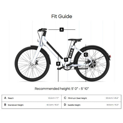 Bird - V-Frame eBike, 500Watt Motor Electric Bike, 50mi Max Range, Embedded Dash Display, Removable Battery, and App Compatible