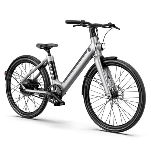 Bird - V-Frame eBike, 500Watt Motor Electric Bike, 50mi Max Range, Embedded Dash Display, Removable Battery, and App Compatible