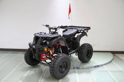 RPS Desert 200 Utility 200ATV-21 Adult ATV - 149cc, Automatic, Reverse, 21" Tires, Dual Racks, LED Lights with Free Battery Charge, up to $49 value