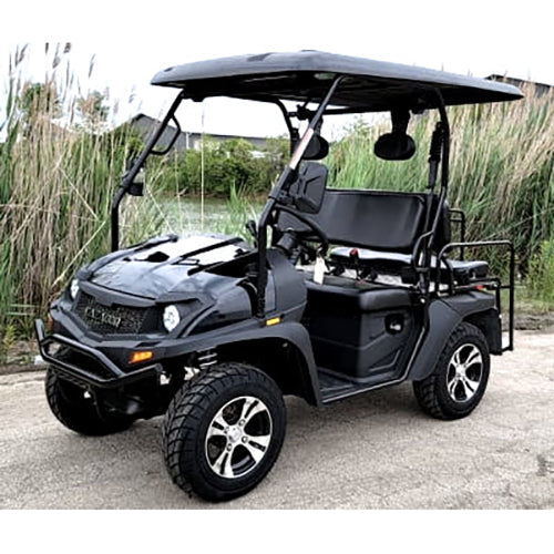 GSI - 200cc GVX -  Gas Golf Cart UTV Hybrid Linhai Big Hammer 200 GVX Side by Side UTV With Custom Rims/Tires - XY200U-B