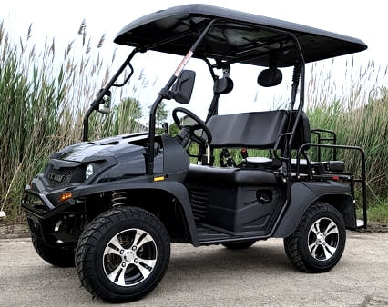 GSI - 200cc GVX -  Gas Golf Cart UTV Hybrid Linhai Big Hammer 200 GVX Side by Side UTV With Custom Rims/Tires - XY200U-B