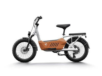 Himiway | C3 Heavy-Duty Cargo Electric Bike