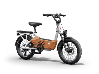 Himiway | C3 Heavy-Duty Cargo Electric Bike