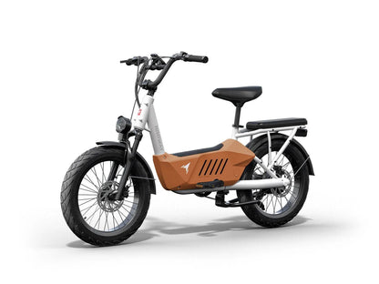 Himiway | C3 Heavy-Duty Cargo Electric Bike