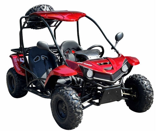 150cc Go Kart Full Size 2 Seater Go Kart Fully Automatic w/Reverse - T-REX 150CC