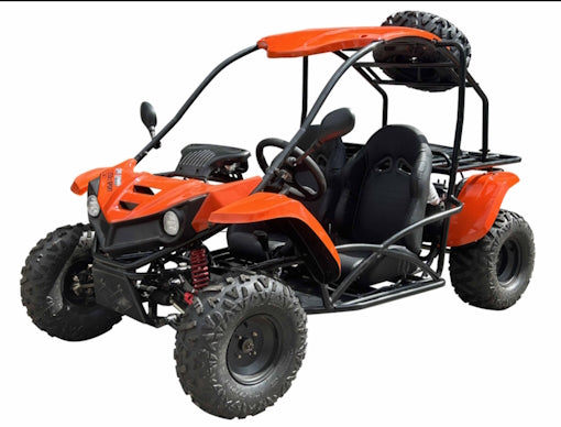 150cc Go Kart Full Size 2 Seater Go Kart Fully Automatic w/Reverse - T-REX 150CC