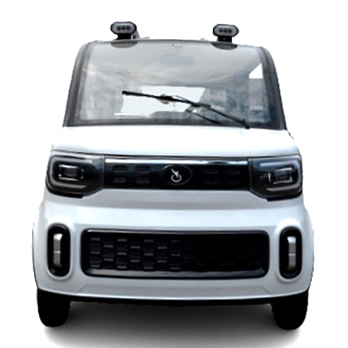 Coco Coupe Rainbow Edition 60v Electric 4 Seater Golf Cart LSV Car - Pride Ride