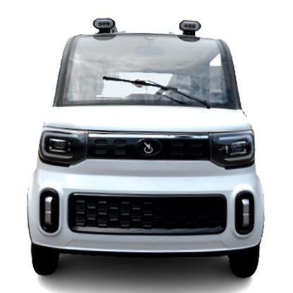 Coco Coupe Rainbow Edition 60v Electric 4 Seater Golf Cart LSV Car - Pride Ride