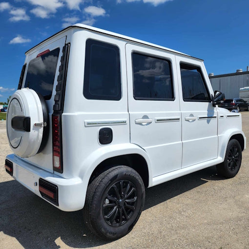 GSI - Coco Boxer Electric Golf Cart LSV 4 Passenger Low Speed Vehicle With AC & Heat