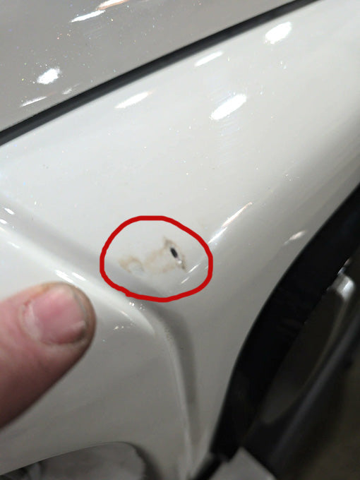 Coco Boxer Elite Scratch ~n~ Dent Electric Golf Cart Larger Size 4 Passenger Low Speed Vehicle With AC & Heat - WHITE