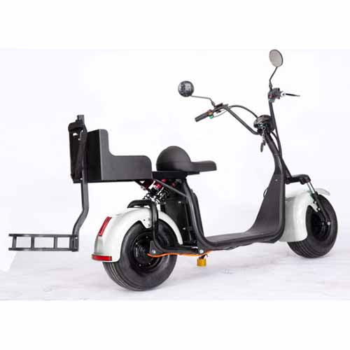 GSI - 2000W Electric Fat Tire Trike 60V 3 Wheel Scooter Moped Bike w/ Golf Rack Like CityCoco Bike - CT-3G