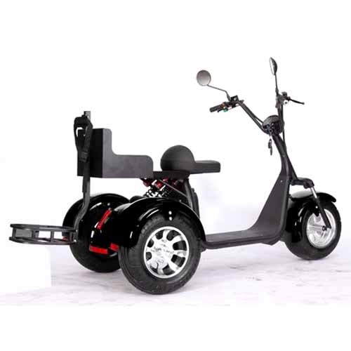 GSI - 2000W Electric Fat Tire Trike 60V 3 Wheel Scooter Moped Bike w/ Golf Rack Like CityCoco Bike - CT-3G
