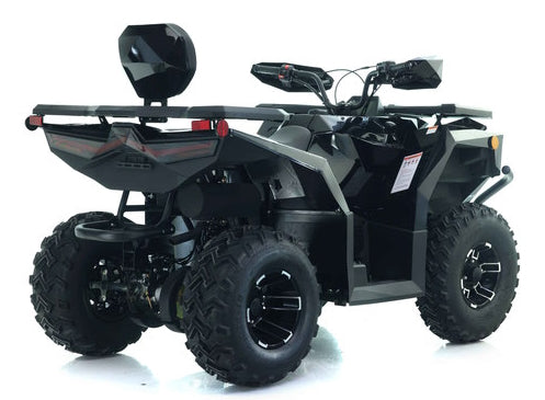 250cc EFI Four Wheeler 4 Stroke Utility Air Cooled Automatic Atv - CYBER ROAMER