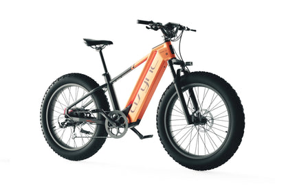 Cyrusher | Zenith All-Terrain Fat Tire E-Bike