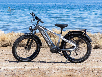 Himiway | D5 Pro All-Terrain Mountain Bike